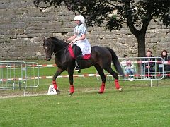 REMPARTS LONGWY 2008 124